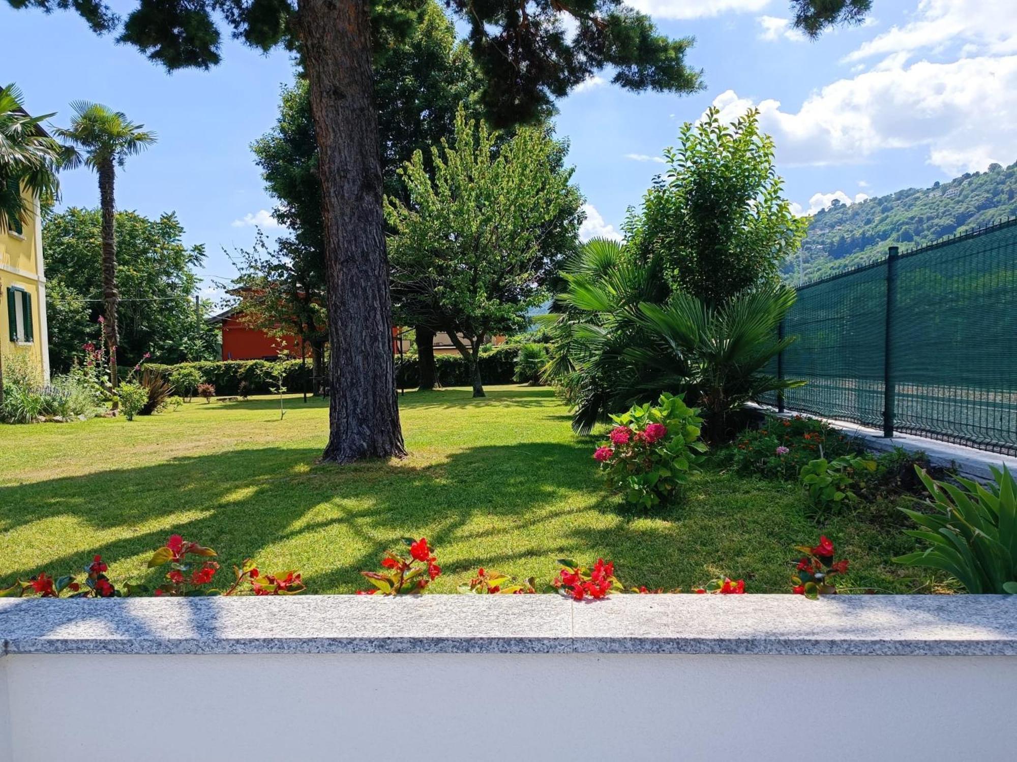 Preziosa Maggiore * Lesa